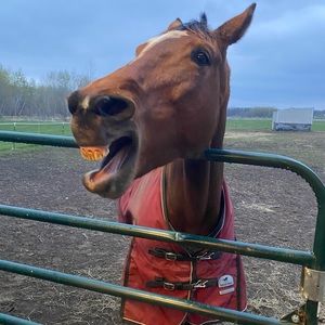 Private listing for Amy